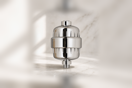 Centered chrome ZymeFresh in-line shower filter on a warm neutral bathroom surface